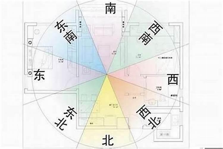 梦见金鱼在鱼缸里下崽