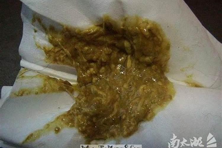 梦到自己拉屎弄到手上脚下都是屎