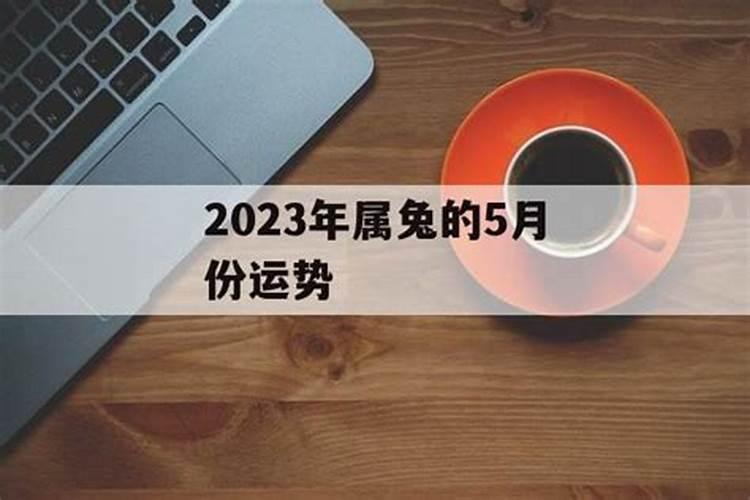 兔5月运势2021年