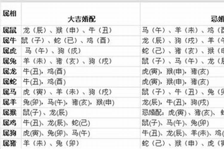 12属相婚配表科学吗