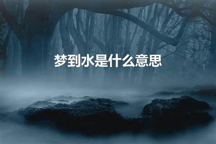 梦见水代表什么生肖