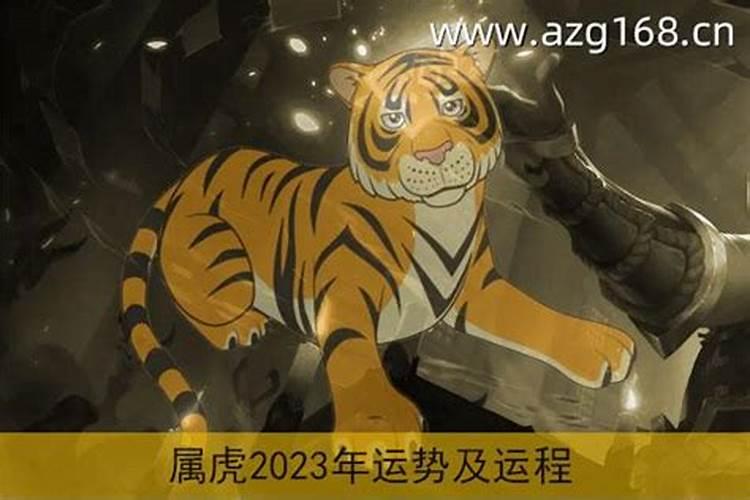 74属虎人2023年运势