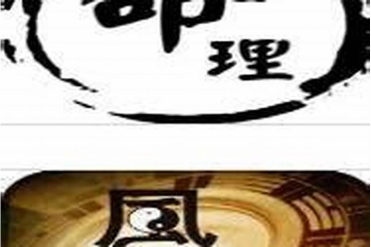 清明前夜打一传统节日两个字