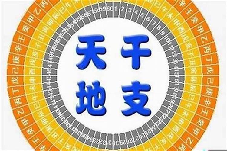 八字里金水旺盛的性格是什么