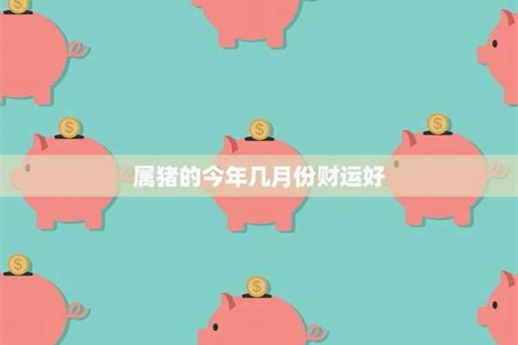 属猪的12月份运势如何2020