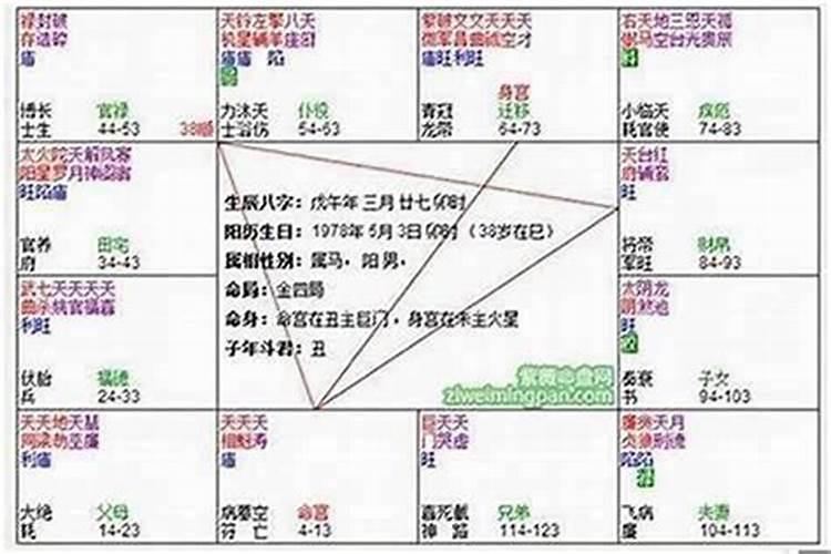 88年男龙2023年运程