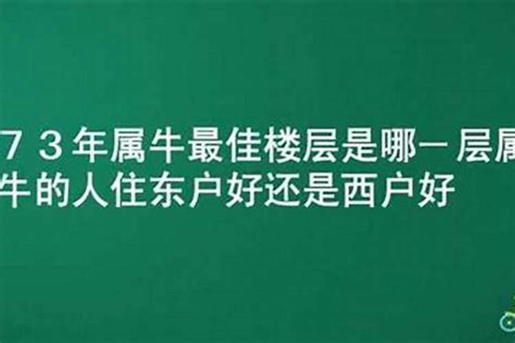 属牛的住那个楼层更合适