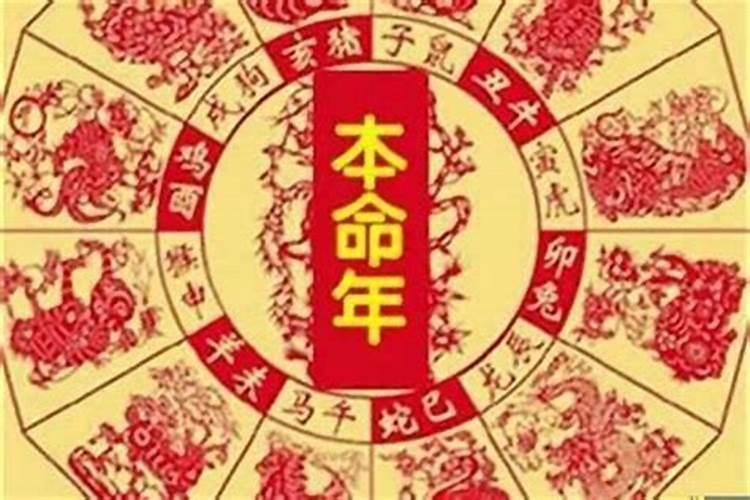 四柱三柱犯太岁什么意思呀