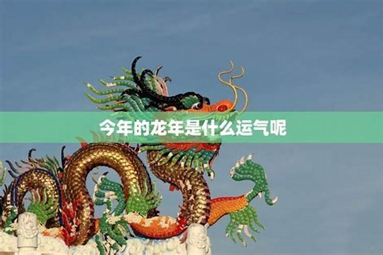 龙年今年的运气怎样