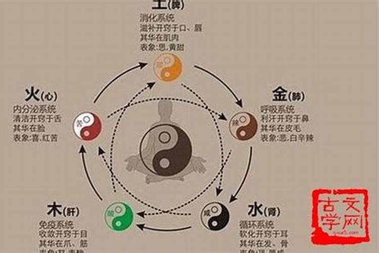 梦见亲人的头被摔出血了什么意思