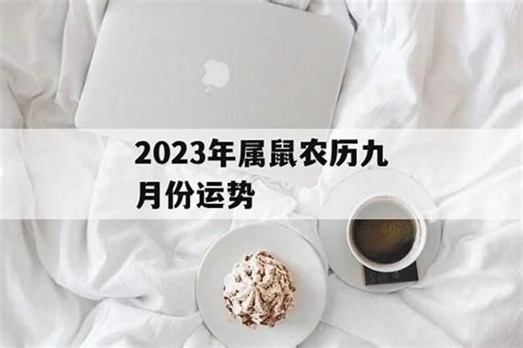 生肖鼠2023九月份运势如何