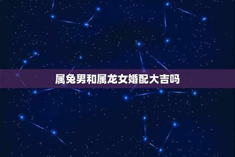 属牛47岁2024年的运势