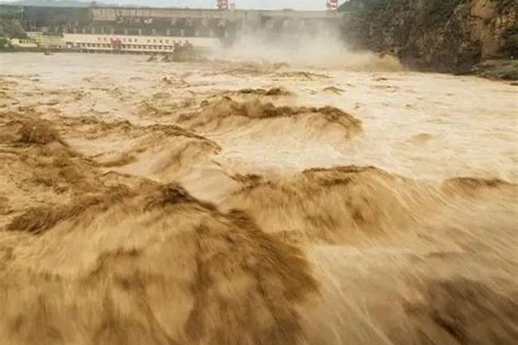 梦见洪水学生来袭逃生成功