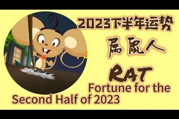 2023下半年属鼠运势如何？