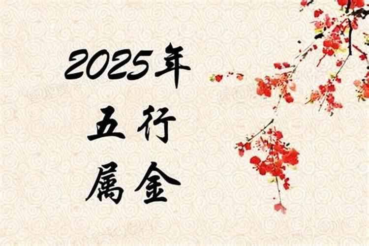 2025年属什么生肖年是什么命