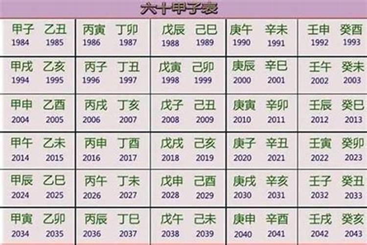 2023年生肖五行属什么命