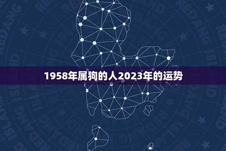 属马的猪年运势2023年运程