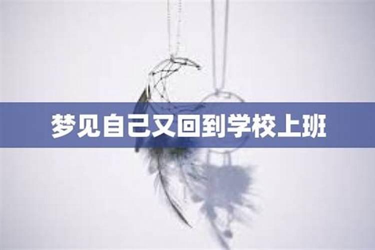 梦到自己回到学校了什么预兆