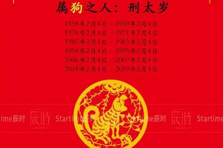 71年属猪今年财运