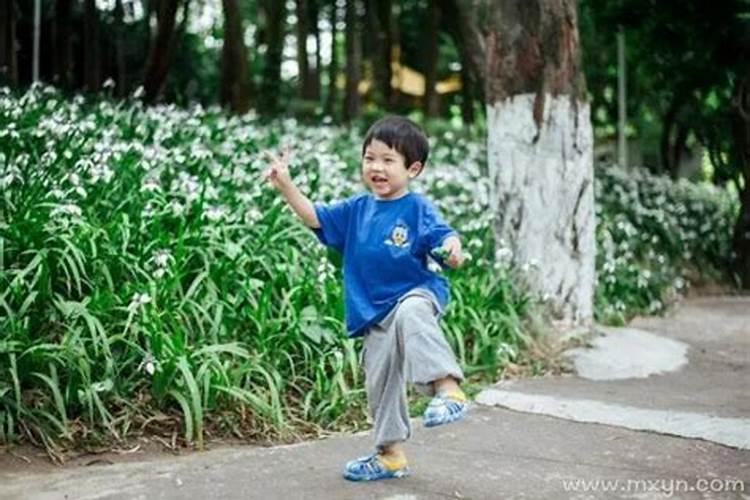 本命年梦见本命生肖男孩好不好