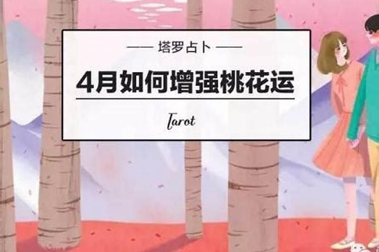 属兔本命年是什么意思啊女性