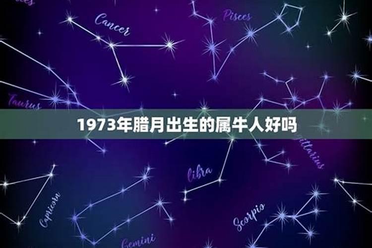 1973年腊月初八出生的属牛人什么命格