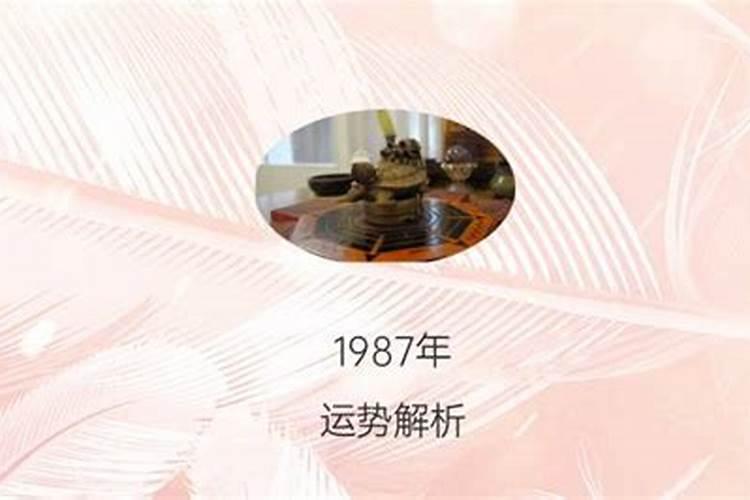 2022年虎年属兔的命运