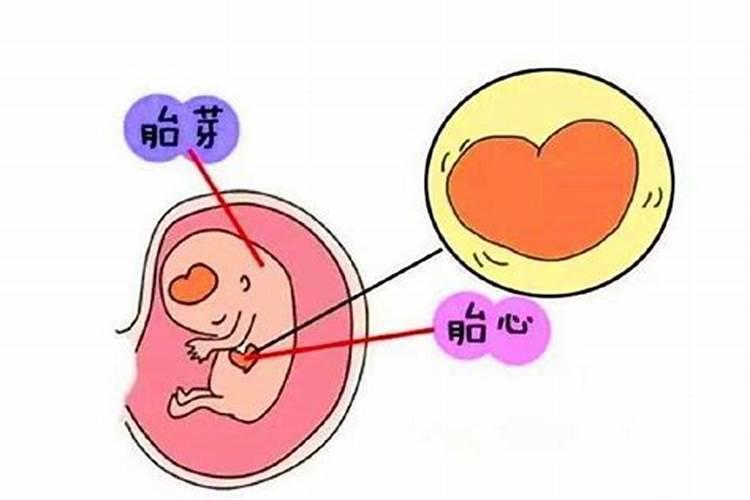 梦见白猫咬自己的手不放啥意思