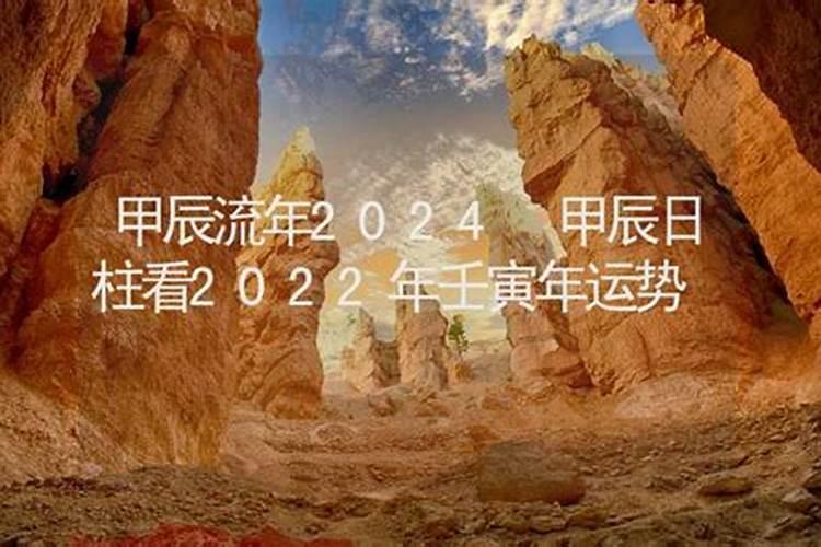 甲戌日柱看2022年壬寅年运势怎么样