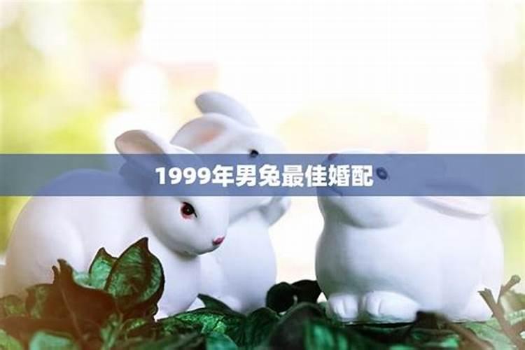1999年兔男婚姻和命运相配吗