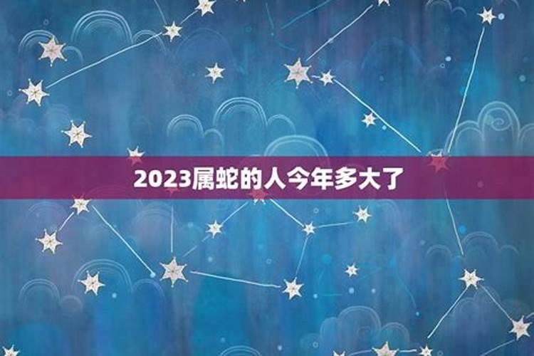 属蛇的人今年多大了