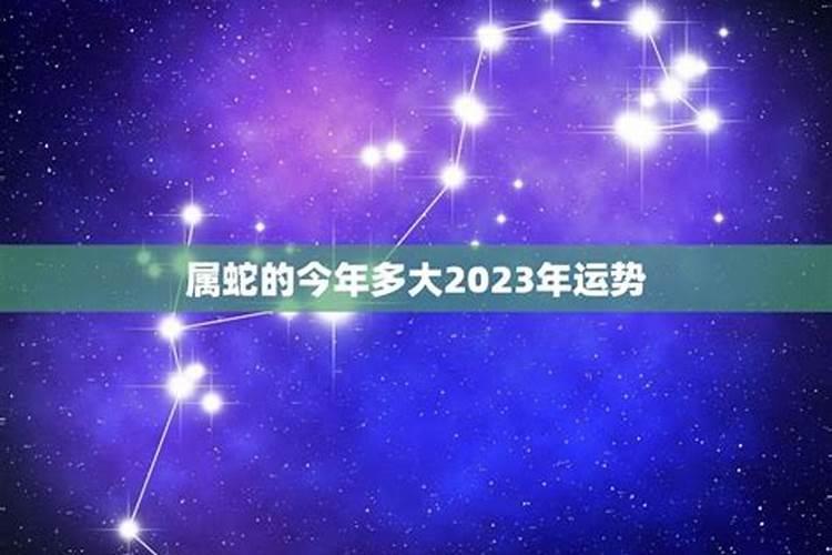 属蛇今年运势2021年多大