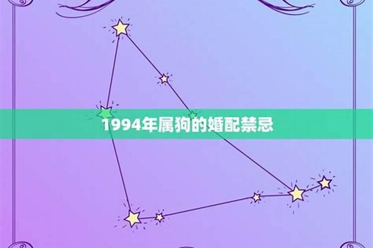 1994年属狗人的婚姻