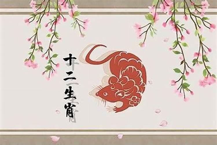 属鼠的今年运势如何