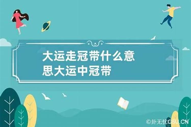 鱼五行属性是什么意思