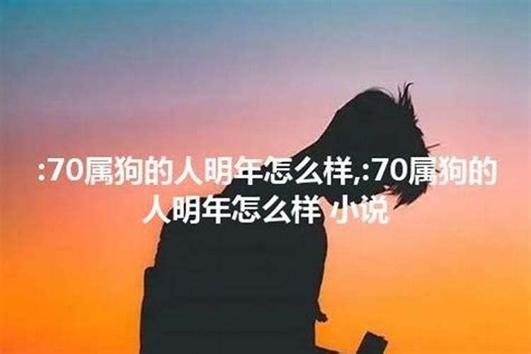 70年属狗的明年运程是怎么样的