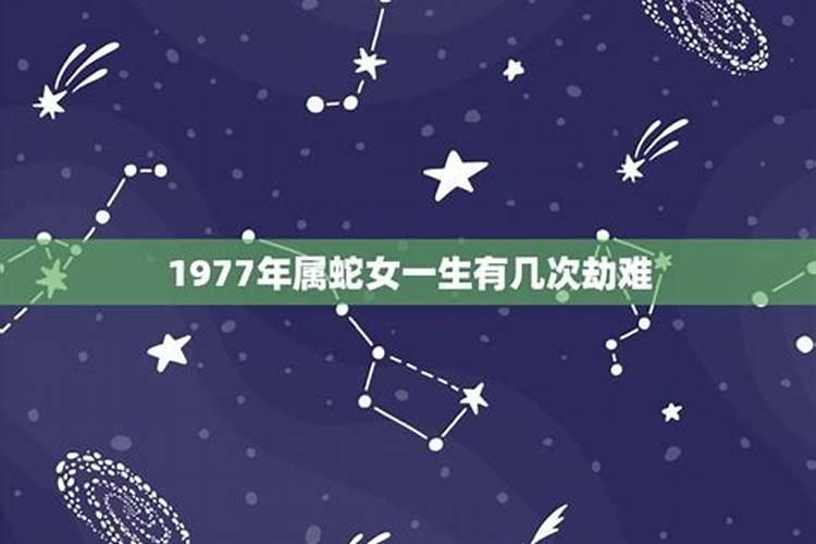 1977生肖蛇那几年犯太岁