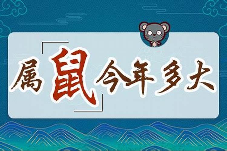 本命年老鼠今年的运气好吗