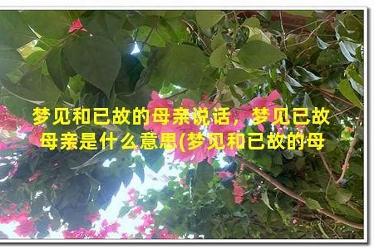 梦见和已故的母亲住老房子