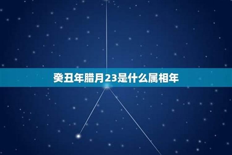 腊月十二农历是什么星座