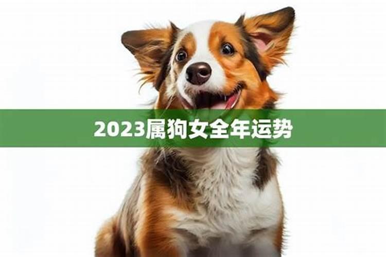 2023属狗女十月出生全年运势