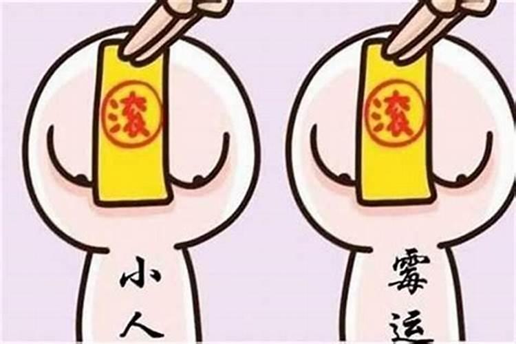 属牛的2020年有什么灾难