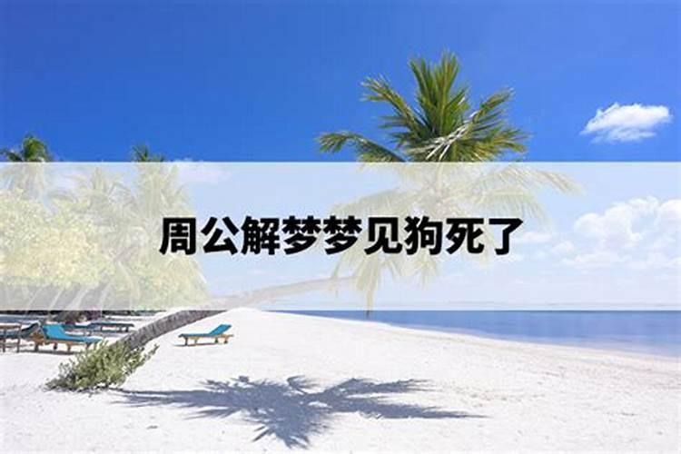 庚辰和辛巳八字合吗