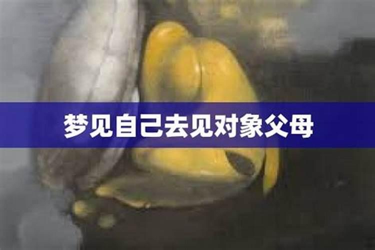 梦见对象和自己回家见家长