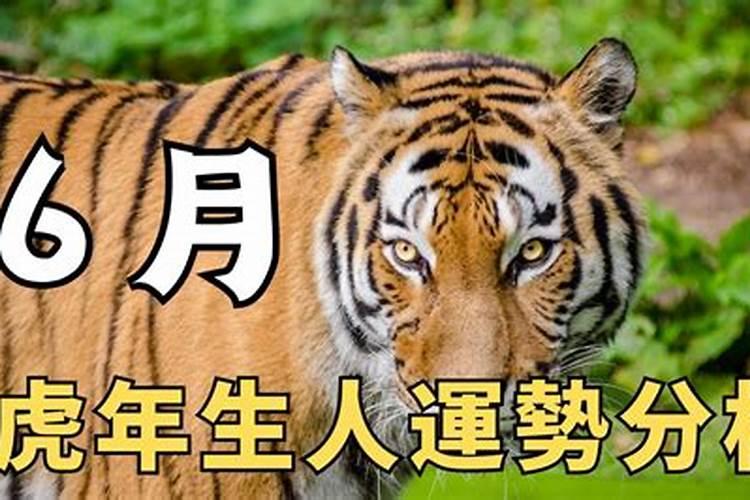 虎年生人在2023年运势如何