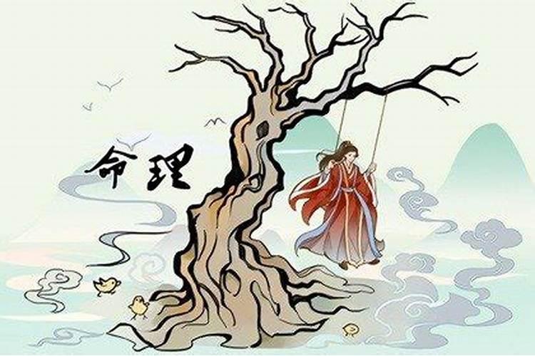 兔子最相配的是哪生肖