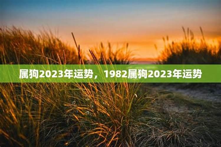 1982年人2023年运势