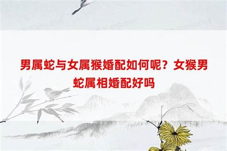 算命的中晚年是指哪个年龄段