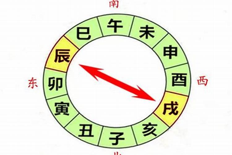 八字中辰和什么合