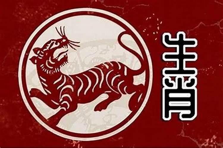 81年属鸡的今年运程怎么样